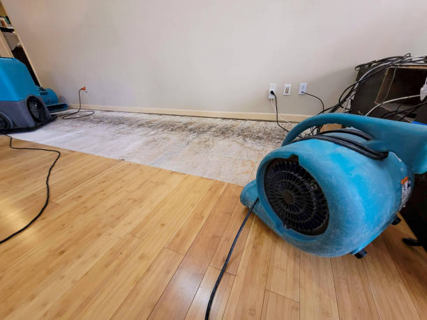 Professional Water Damage Repair technician working in Smyrna, TN